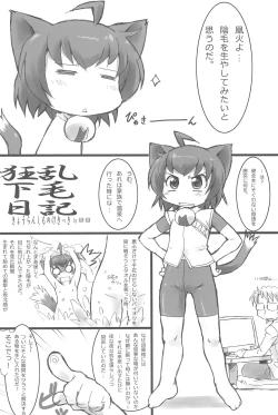 Page 22 of Kyouran Pair Diary