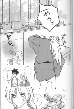 Page 29 of Hime ken ryoran