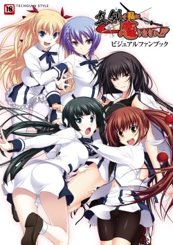 Page 1 of Maji de Watashi ni Koi Shinasai Visual Fan Book