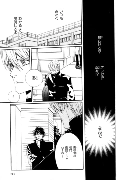 Page 246 of b-BOY Phoenix Vol.9 Gakuran Tokushuu