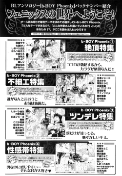 Page 291 of b-BOY Phoenix Vol.9 Gakuran Tokushuu