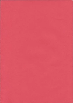 Page 19 of I belong only to you