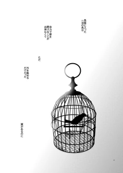 Page 2 of [OCELOTphalaenopsis