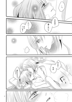 Page 41 of [OCELOTphalaenopsis