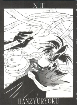 Page 2 of Hanjuuryoku XIII