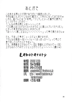 Page 26 of Laboratory