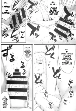 Page 16 of Youmumu Konpaku Youmu Suiminkan