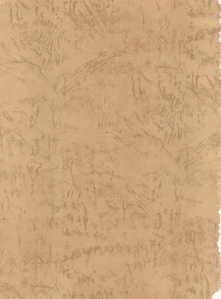 Page 2 of Sophia GGG