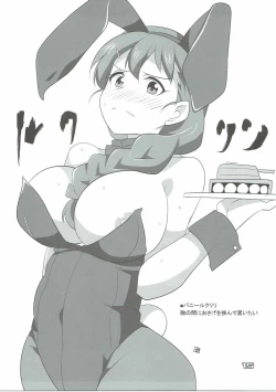 Page 14 of Rosehip no Okkoucha o Basshabassha Kobosu Hon