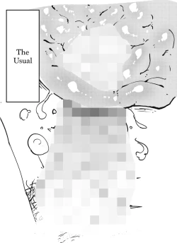 Page 11 of The Weeny Corrections Manual