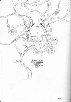 Page 23 of Marshmallow chocolate