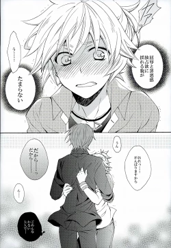 Page 19 of Hatsudori Document