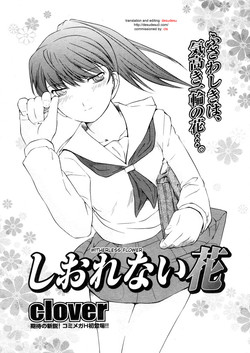 Download Shiorenai Hana | Witherless Flower