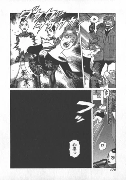 Page 179 of HonFu Vol.4