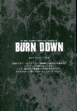 Page 2 of BURN DOWN