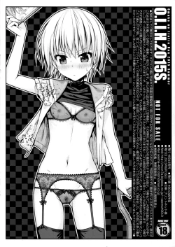 Page 2 of O.I.I.H.2015S.