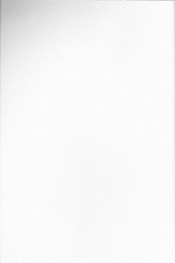 Page 2 of 【Aoku hakaana】Ke mo ni ~yotadatte ari janai!]