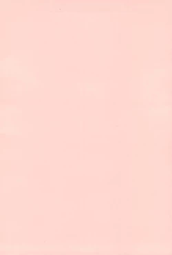 Page 2 of P.P.Plan 4