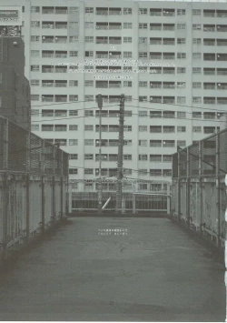 Page 24 of Usugitanai Cinderella