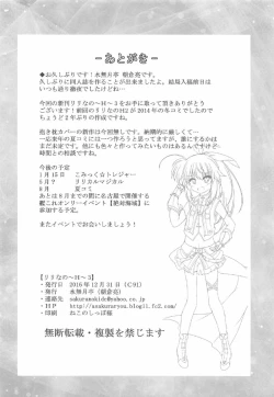 Page 17 of LyriNano3