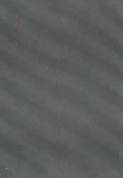 Page 3 of Shinkai Zecchou Sprechchor