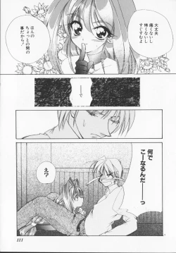 Page 113 of Hiiro no gisei tachi