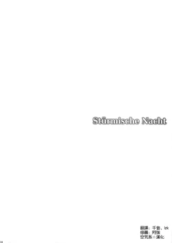 Page 4 of Stürmische Nacht