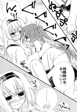 Page 16 of Tsuru Shimai Bon