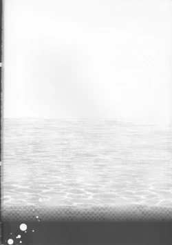 Page 4 of Dimorphotheca