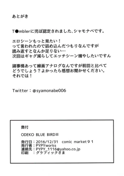 Page 17 of ODEKO BLUE BIRD III