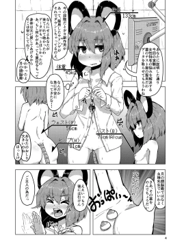 Page 3 of Jikkenyou Nazrin