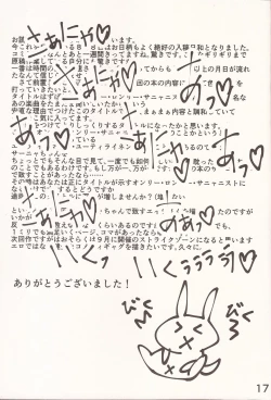 Page 16 of The only lonely SANYANIST