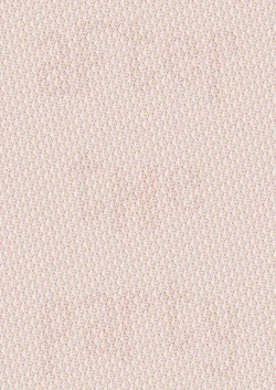 Page 19 of Racy Sympathy