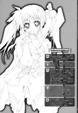 Page 4 of SUMMARY VERSION 2