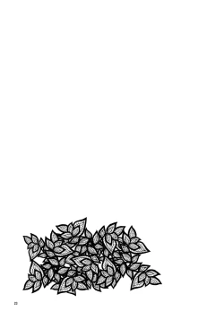 Page 24 of Sonna no Mayu ni wa Wakarimasen