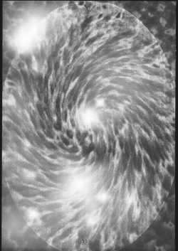 Page 32 of anal matsuri souryo kougyaku makan injuu