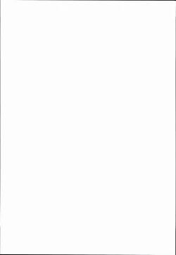 Page 29 of Innocent Fusion!