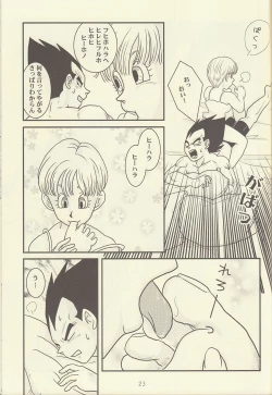 Page 24 of maitenence 2