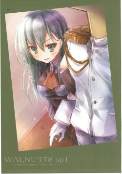 Page 24 of WALNUT78 SP1