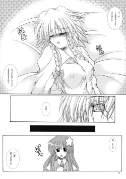 Page 11 of Dokidoki Maid Shinpan