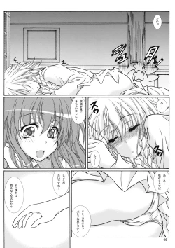 Page 5 of Dokidoki Maid Shinpan