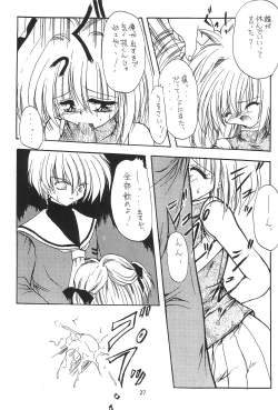 Page 29 of Namikidoori