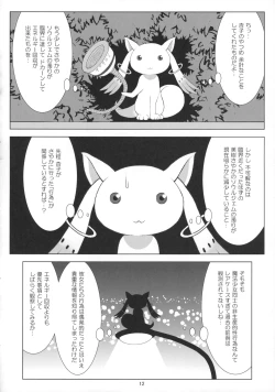 Page 11 of Final AnSaya Sai 1 to 2 to α