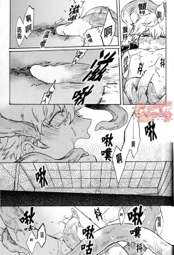 Page 20 of NULL NULL