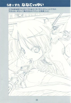 Page 33 of FLAVOR LINK