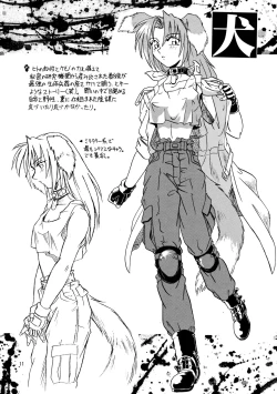 Page 11 of CAZA MAYOR