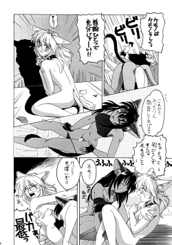 Page 20 of CAZA MAYOR