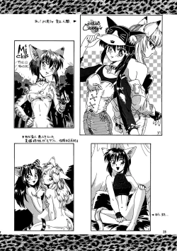 Page 28 of CAZA MAYOR