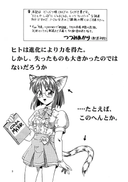 Page 3 of CAZA MAYOR