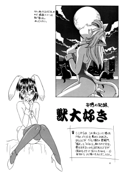 Page 4 of CAZA MAYOR